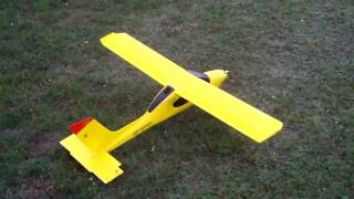 WILGA 2000 GRAUPNER RC PLANE [upl. by Gravante]