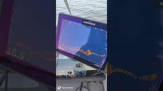 Lowrance Active Target 2 палитра 8ая [upl. by Arima]