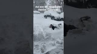 Así son las nevadas en Denver Colorado [upl. by Darci422]