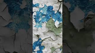 Fresco Painting Techniques Short [upl. by Akemyt]