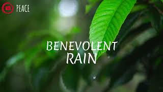 BENEVOLENT RAIN  MUHAMMAD ALMUQEET  BEST NASHEED  PEACE❣️ [upl. by Ronel]