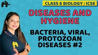 Diseases and Hygiene Class 6 ICSE Biology  Selina Chapter 7 Bacteria Viral Protozoan Diseases 2 [upl. by Ratcliff]