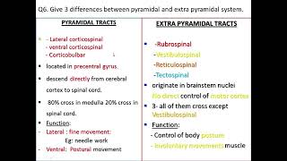 The Pyramidal Tracts by Dr John Lyngdoh Physiology NEIGHRIMS Shillong [upl. by Gaul]