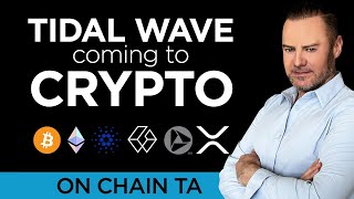 🌊OCTA Monster Tidal Wave coming to Crypto💰 [upl. by Guadalupe]