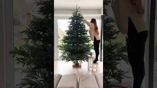 Tannenbaum aufstellen amp schmücken 🎄 mit der ganzen Familie 😍 shorts Mamiseelen [upl. by Formica]