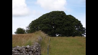 Priddy amp Ebbor Gorge Circular Hike Part X Full Circle to St Laurence Church by Sheila July 11th 2024 [upl. by Joette]