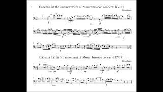 Mozart Bassoon Concerto  cadenzas for 2nd and 3nd movements Ž Smalys [upl. by Kcirddec10]