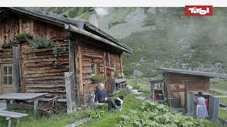 Leben auf der Alm  Almhütten in Tirol Österreich 🐮 [upl. by Neemsaj]