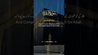 🌿Surah AlBaqarah Verse 196 Comprehensive Guide to 🕋Hajj and Umrah🌹 quran ytshorts [upl. by Errick60]