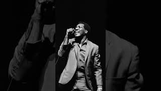 Otis Redding  A Change Is Gonna Come music lovesongs soulmusic otisredding [upl. by Jose]