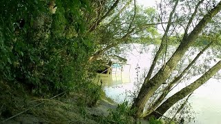 Sunken Houseboat 15062024 C Donauinsel [upl. by Cliffes]