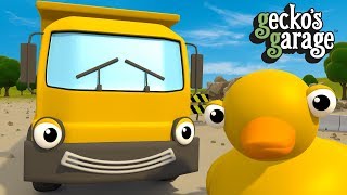 Dumper Truck Song For Kids  Geckos Garage [upl. by Isyad]