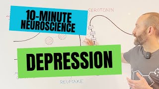 10Minute Neuroscience Depression [upl. by Lemrahc]