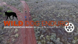 Wild Dog Enduro 2017 [upl. by Hiasi]