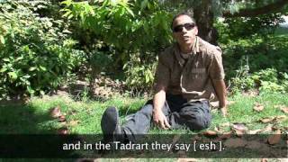 The Tamasheq language [upl. by Arraeit]