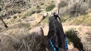 Coming down Pine Creek Trail [upl. by Prader]