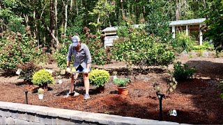 Colorful Year Round Landscaping at the Terraced Garden [upl. by Law]