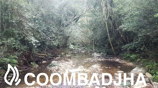 Coombadjha Campground  Washpool National Park New South Wales [upl. by Oneladgam]