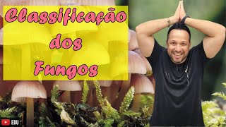 Classificação dos Fungos  Filos dos Fungos  Reino Fungi  Microbiologia [upl. by Annette]