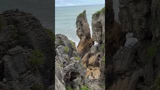 Pancake rocks punakaiki travel newzealandnature newzealand mountains nature newzealandtourism [upl. by Atnoed]