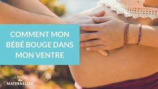 Comment mon bébé bouge dans mon ventre  La Maison des maternelles LMDM [upl. by Segalman384]