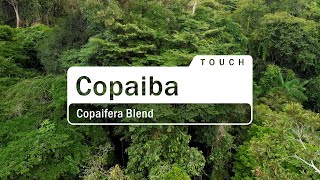 doTERRA Copaiba Touch Translated Subtitles [upl. by Harad780]