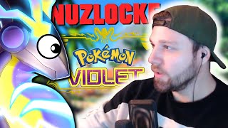 Pokémon PURPUR ♓️ NUZLOCKE  LIVE  Multistream [upl. by Aicenad]