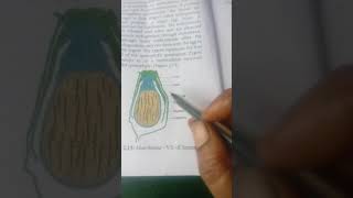 11th std botanymarchantia life cycle [upl. by Smiga]