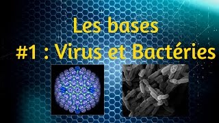 Les bases expliquées 1  Virus et Bactéries [upl. by Yuille]