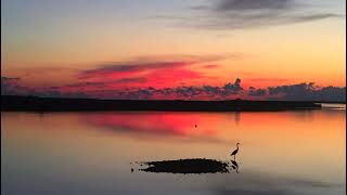 Steinhatchee River Webcam [upl. by Gena]