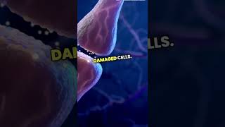 Mitochondria  The power house of cell facts biology motivation science shorts mitochondria [upl. by Attwood]