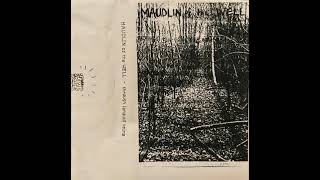 Maudlin of the Well  Through Languid Veins 1996 [upl. by Miksen]