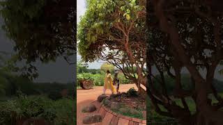 Matrimandir Pondicherry  Auroville Puducherry [upl. by Asenev]