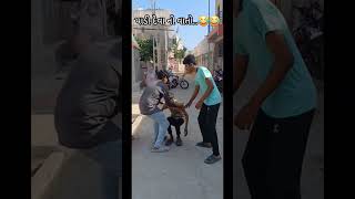 like comedy dwarkawala comedyfilms funny dwarka comedymovies subscribe minivlog dwarka [upl. by Deppy]