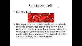 O Level Biology 5090 chapter 1 Cells part 3 [upl. by Analak]