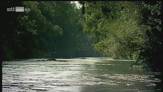 Doku Die schwarze Donau  Ein Fluss verschwindet HD [upl. by Enaamuj835]