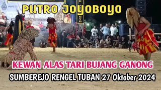 KEWAN ALAS vs TARI BUJANG GANONG JARANAN PUTRO JOYOBOYO RENGEL TUBAN 27 OKTOBER 2024 [upl. by Yasdnyl]