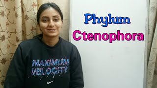 Phylum Ctenophora  Biological classification part 13  Class XI  Lecture 41 [upl. by Bradway]