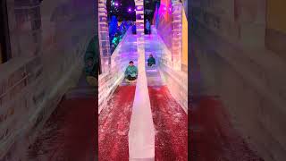 ICE at Gaylord Palms Orlando FL [upl. by Eiramanel]