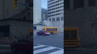 Walking morning to Eglinton Avenue West  East and Dufferin Toronto [upl. by Nahgen]