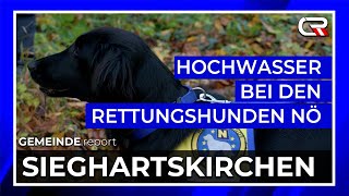 Hochwasserhilfe für die Rettungshunde NÖ 🐾💔 [upl. by Tandie830]