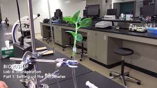 Transpiration Part 1 Setting up the Potometer [upl. by Arraic]