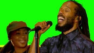 Ziggy Marley –Is This Love Bob Marley cover  Live at Exit Festival 2018 [upl. by Adlanor]