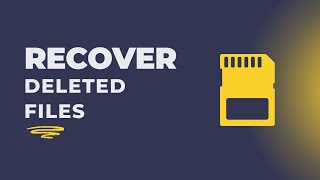 How to Recover Accidentally Deleted Files from USB amp SD Card The Best Data Recovery Software [upl. by Bernardo880]