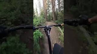 Fire swamp tech trail part 3️⃣ youtubeshorts mtb [upl. by Mercorr]