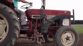 Sound Tritcale sähen mit Zetor und IHC [upl. by Norbel]