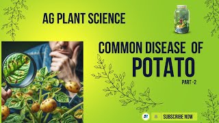 DISEASE OF POTATO IN LEAF types [upl. by Aicat666]