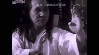 My Teacher Gogen Yamaguchi Sensei doing Kumite [upl. by Radbun]