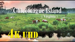 Chincoteague Island  Virginia [upl. by Itsrik]