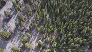 B17 airplane crash site south east of Challis Idaho [upl. by Muiram]